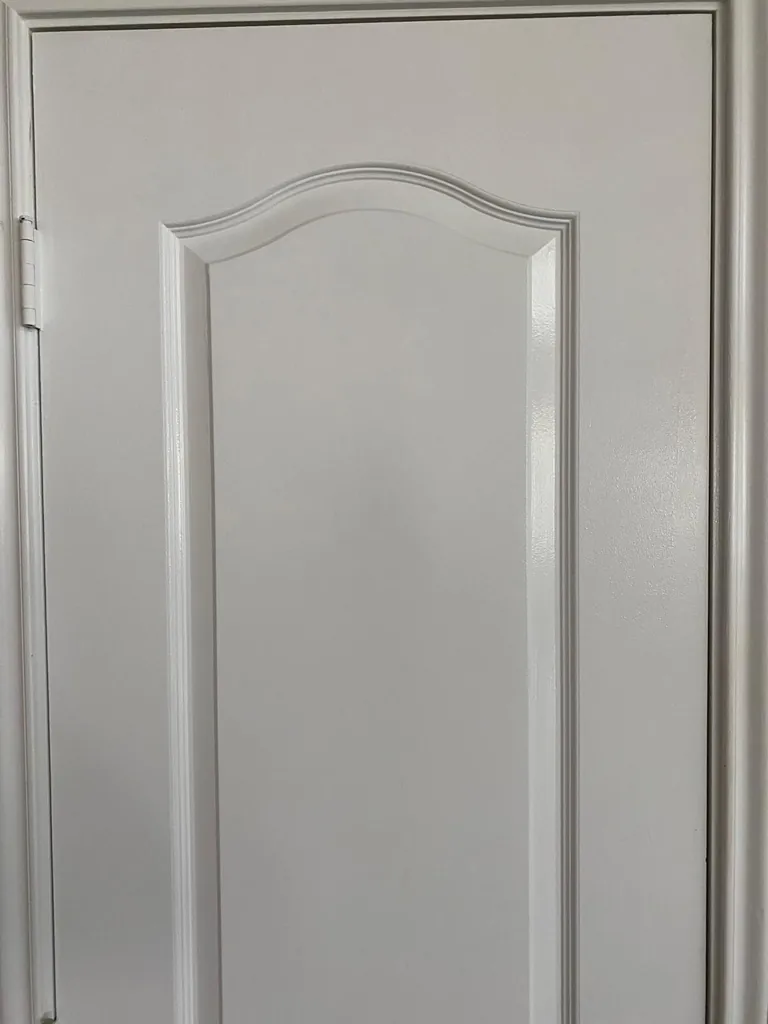 Painting Services - door painting - After