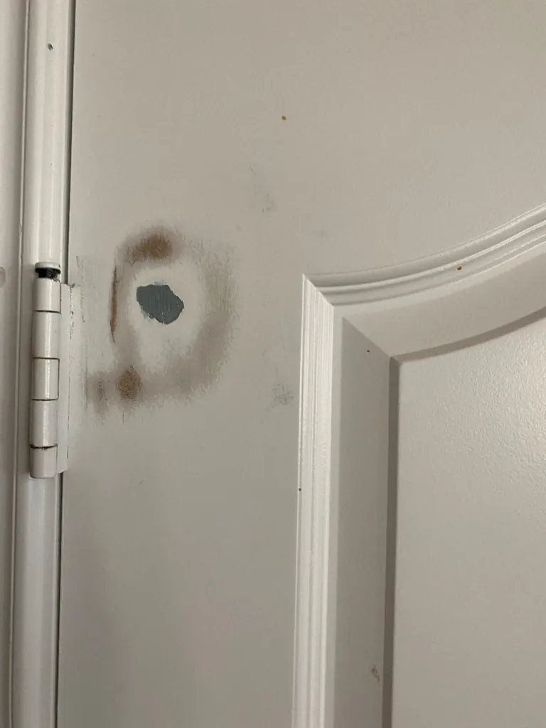 Painting Services - door painting - Before