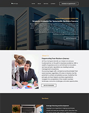 Business Management Consulting