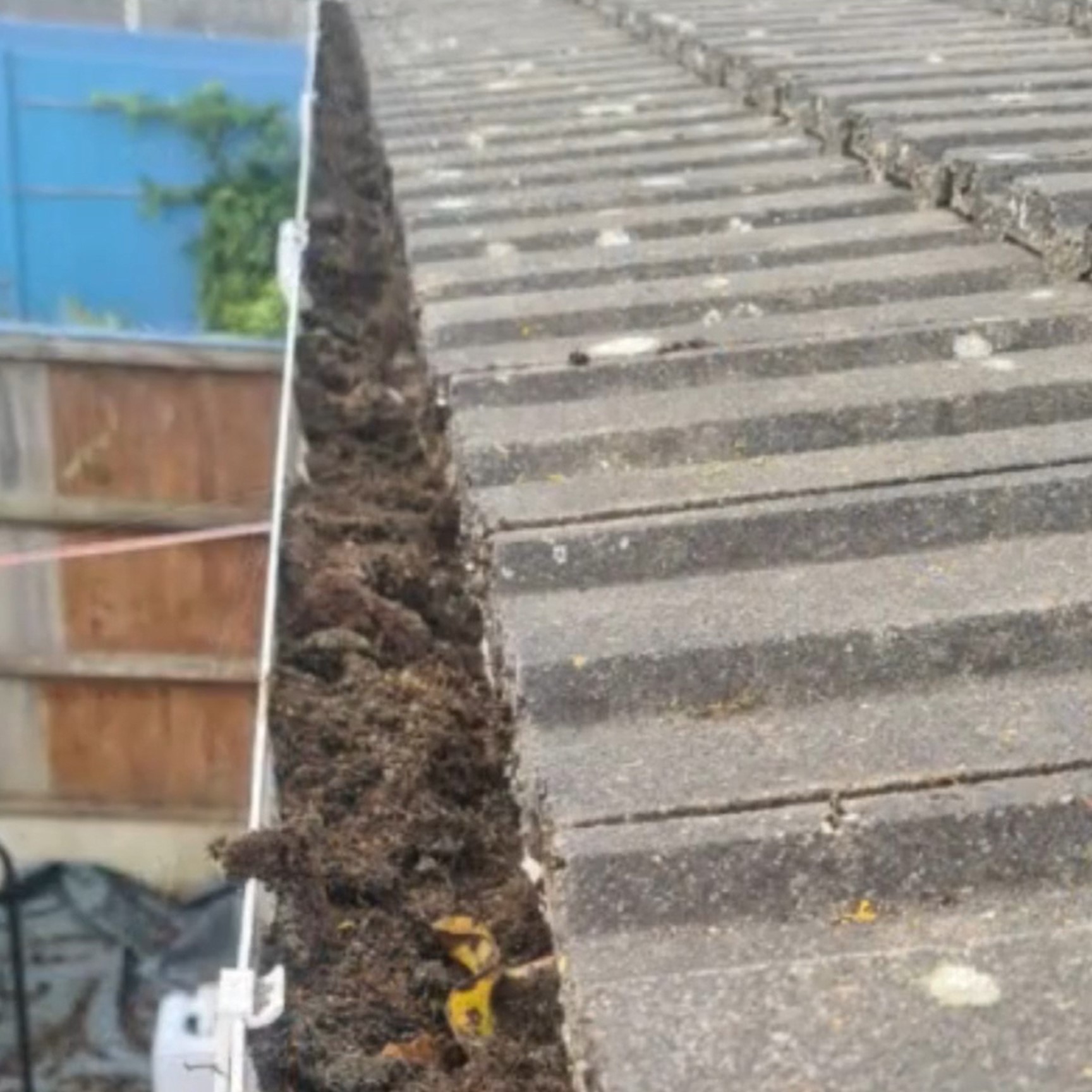 gutter cleaning before