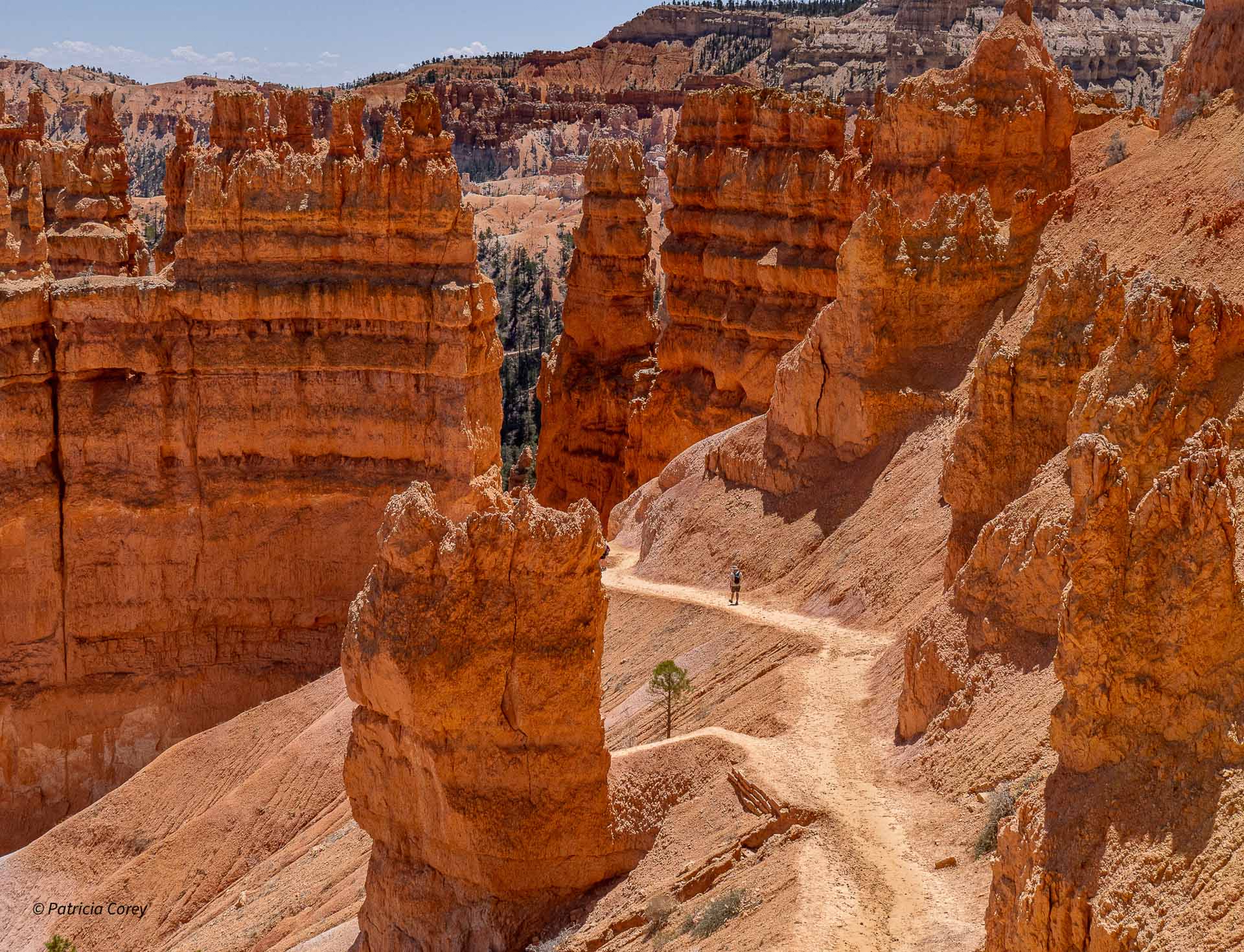 Queens Garden- Bryce Natl Park
