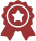 check-icon