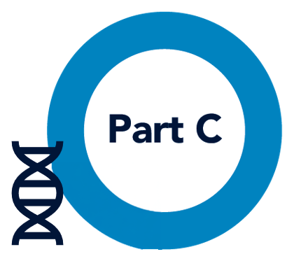 Part C