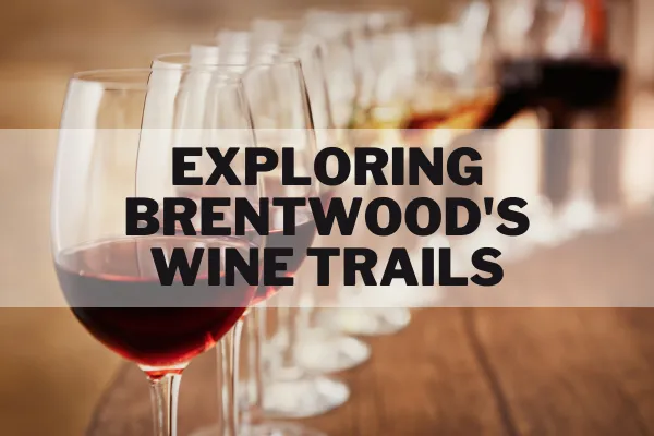 Exploring Brentwood's Wine Trails