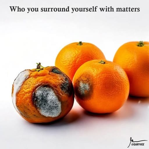 Rotting Oranges Rotting Oranges