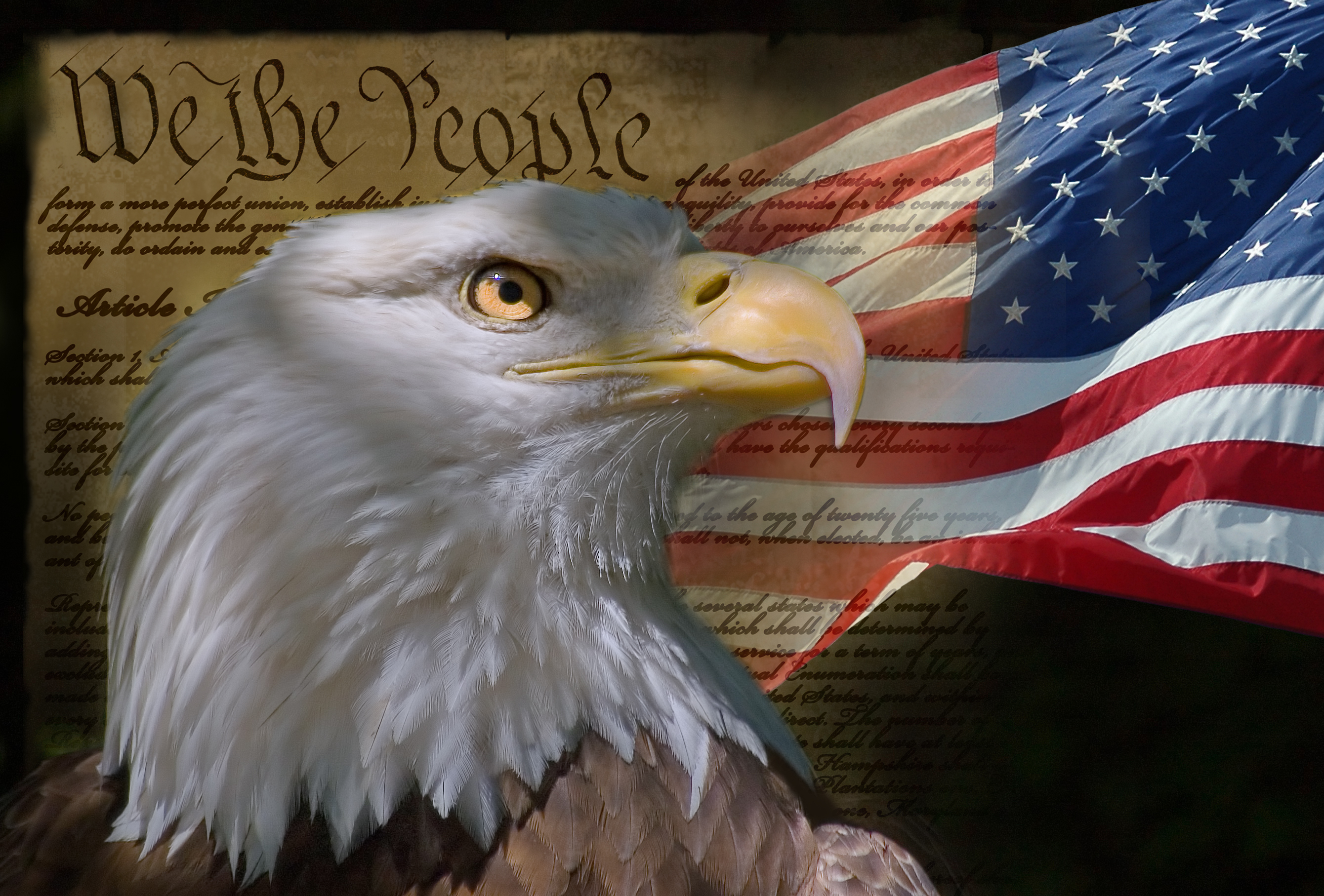 Freedom from Property Taxes
