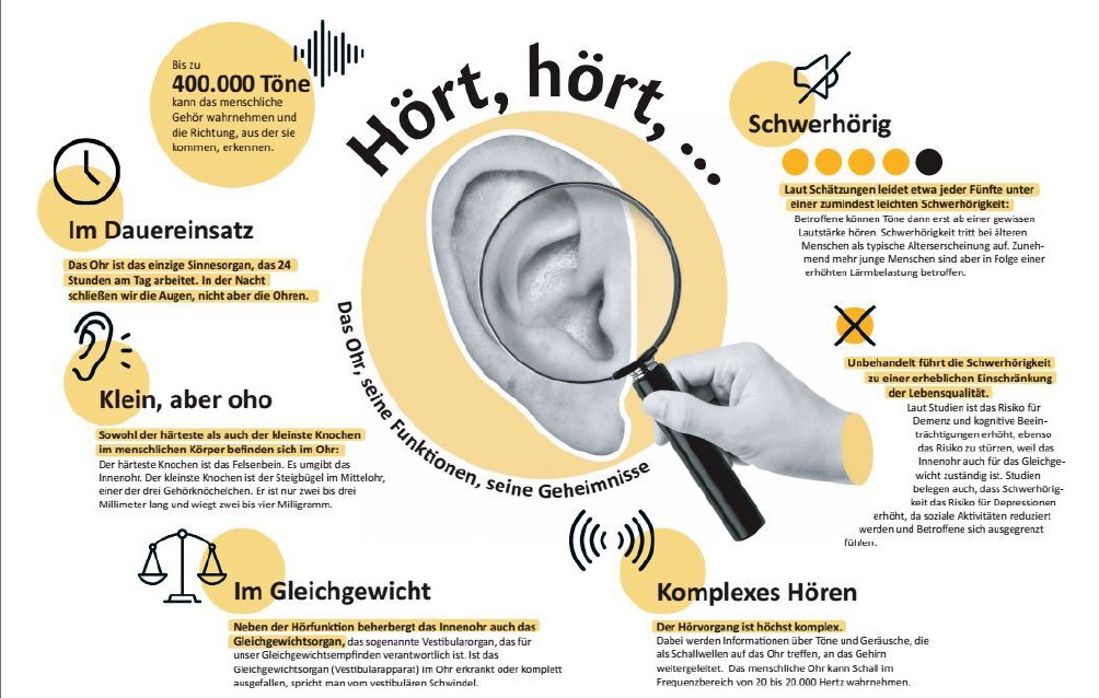 Wenn die Ohren Hilfe brauchen