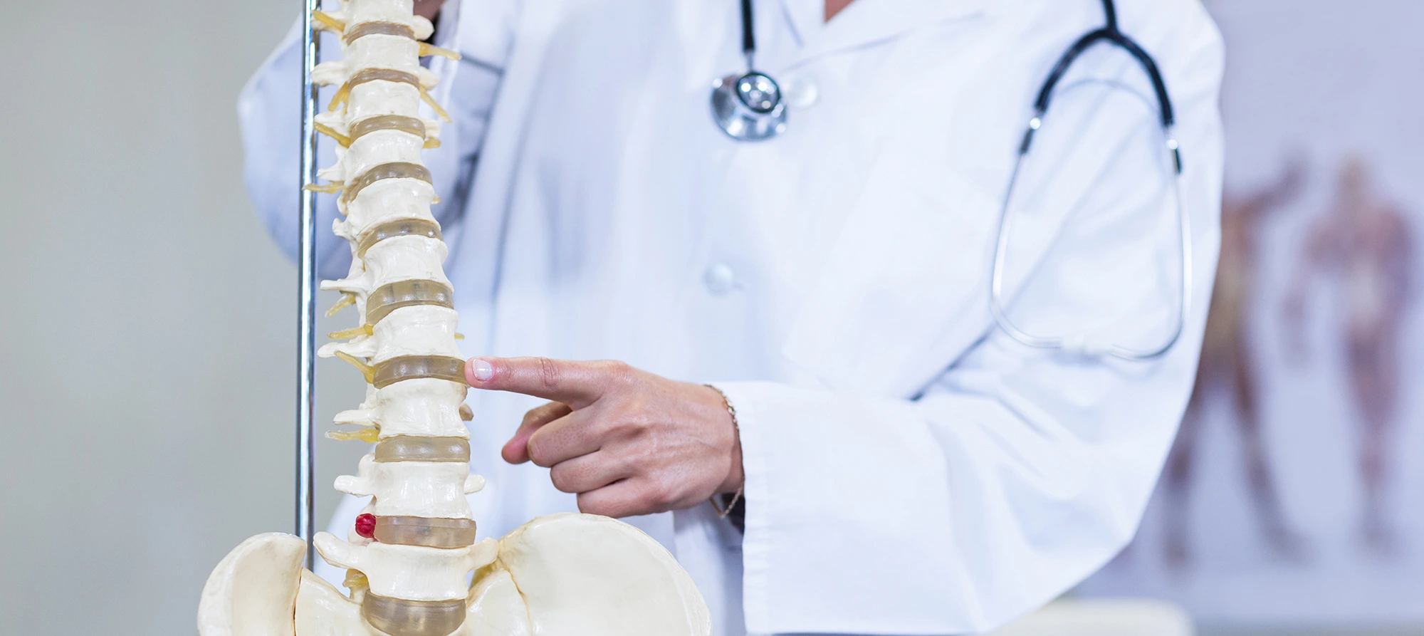 The Role of Nerves in Mid and Lower Back Pain