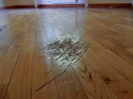 Scratches, Dents, and Gouges Scratches, Dents, and Gouges