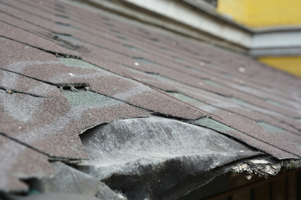 missing or damaged shingles