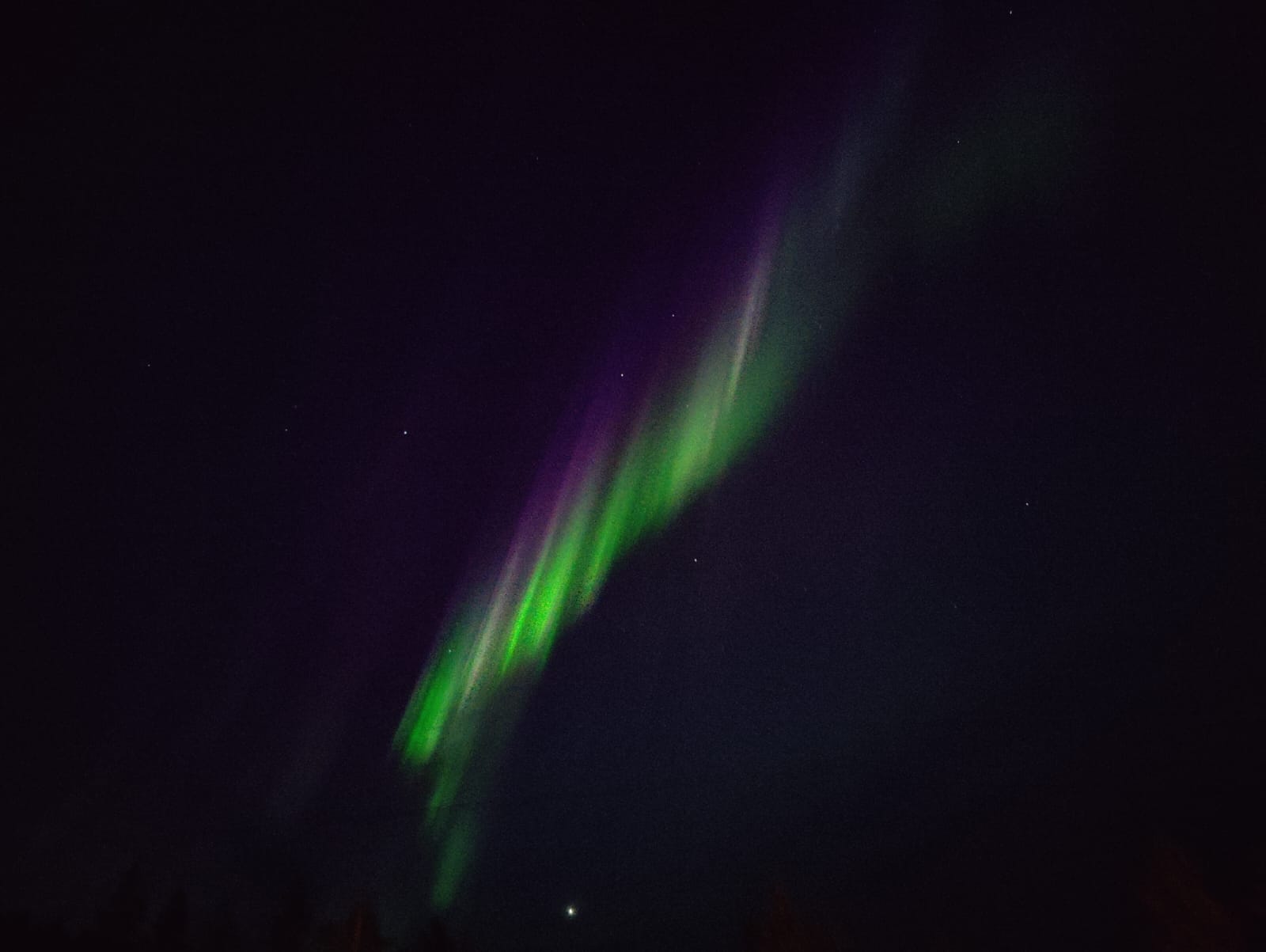 aurora aurora