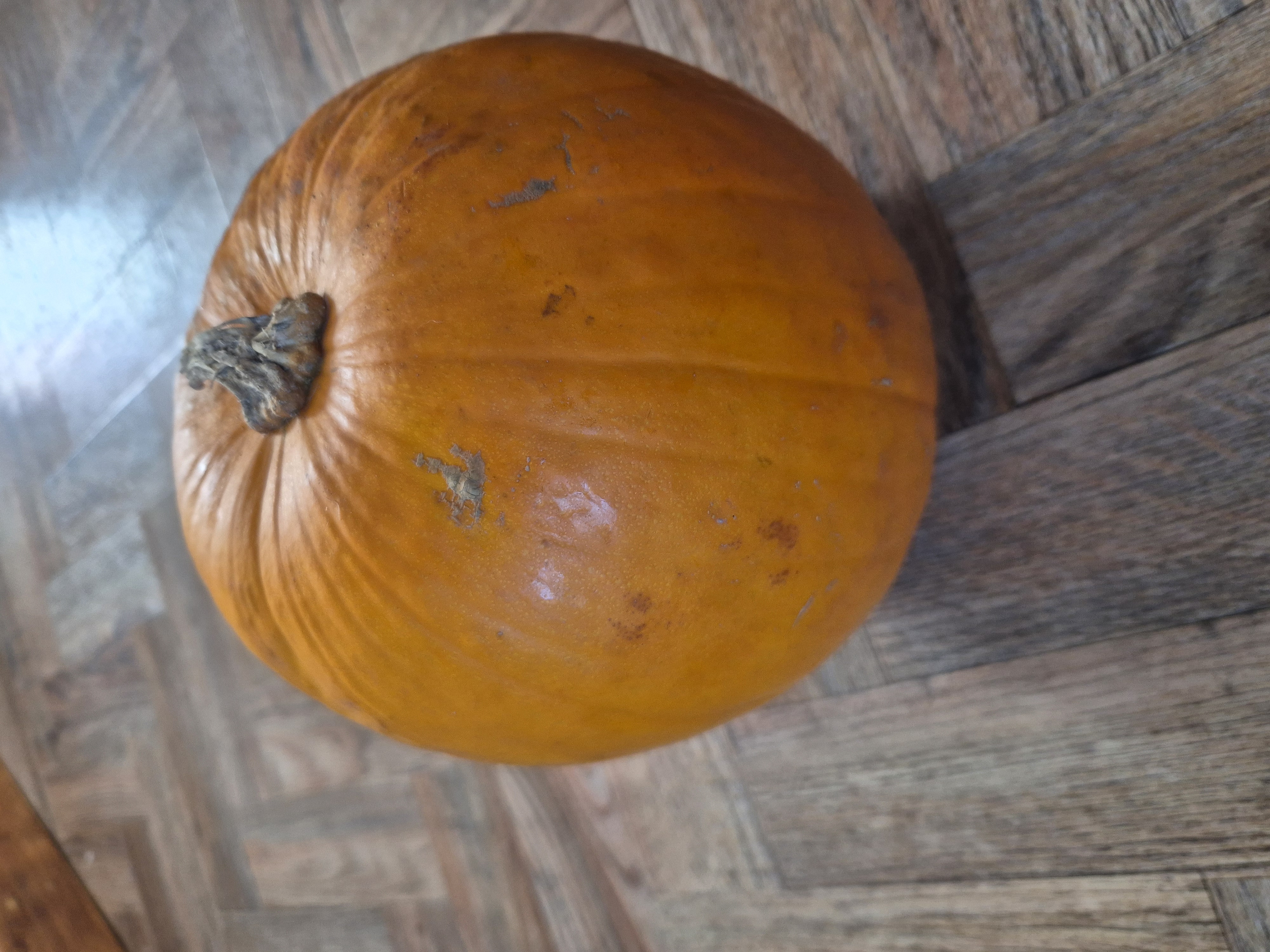 Large pumpkin