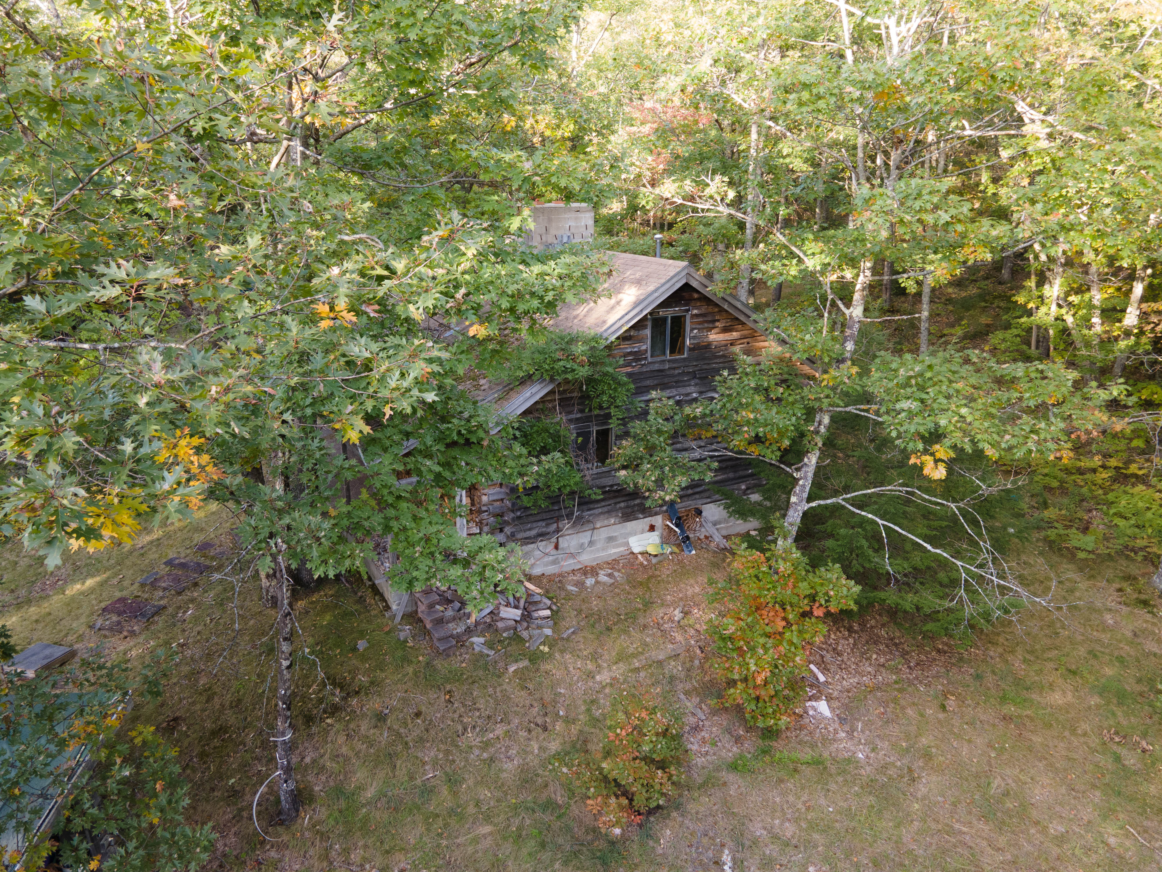 Image 14