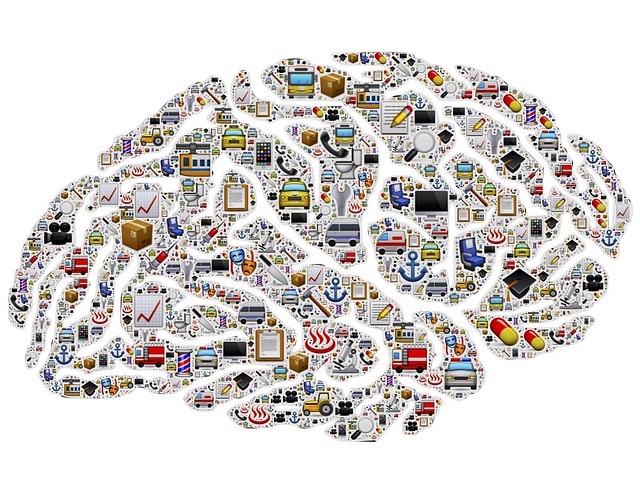 Cerveau Cerveau