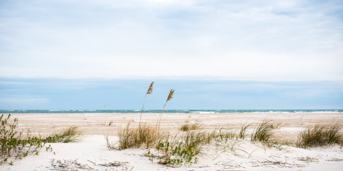 North Carolina beaches hampstead