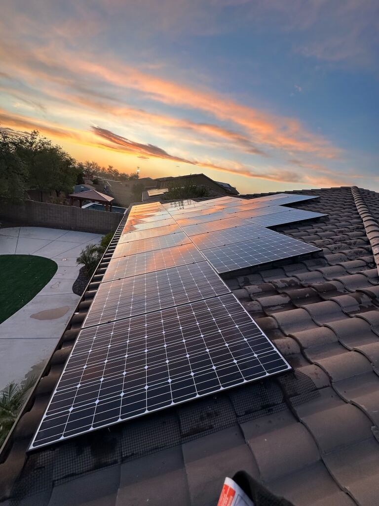 Birdproofing Solar Panels: Why it Matters