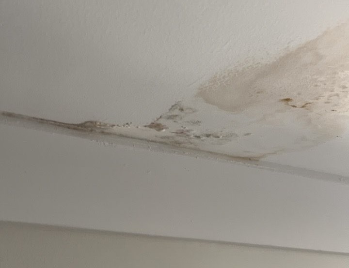 Ceiling with visible water stains and mould growth, showing moisture damage and potential leak issues.