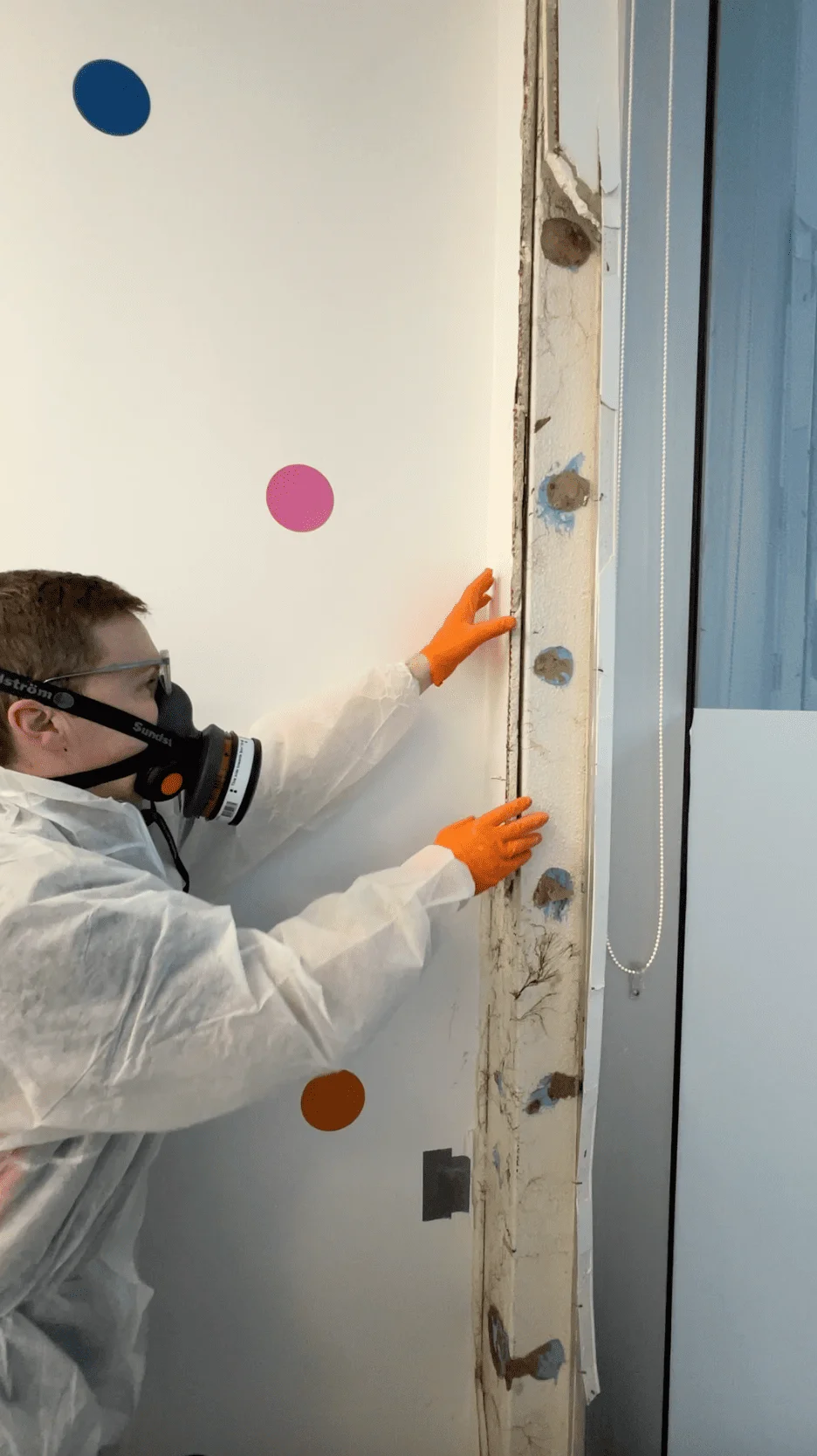 Mould remediation technician wearing PPE and a respirator removing contaminated plasterboard from an internal wall to expose mould-affected framing during restoration.