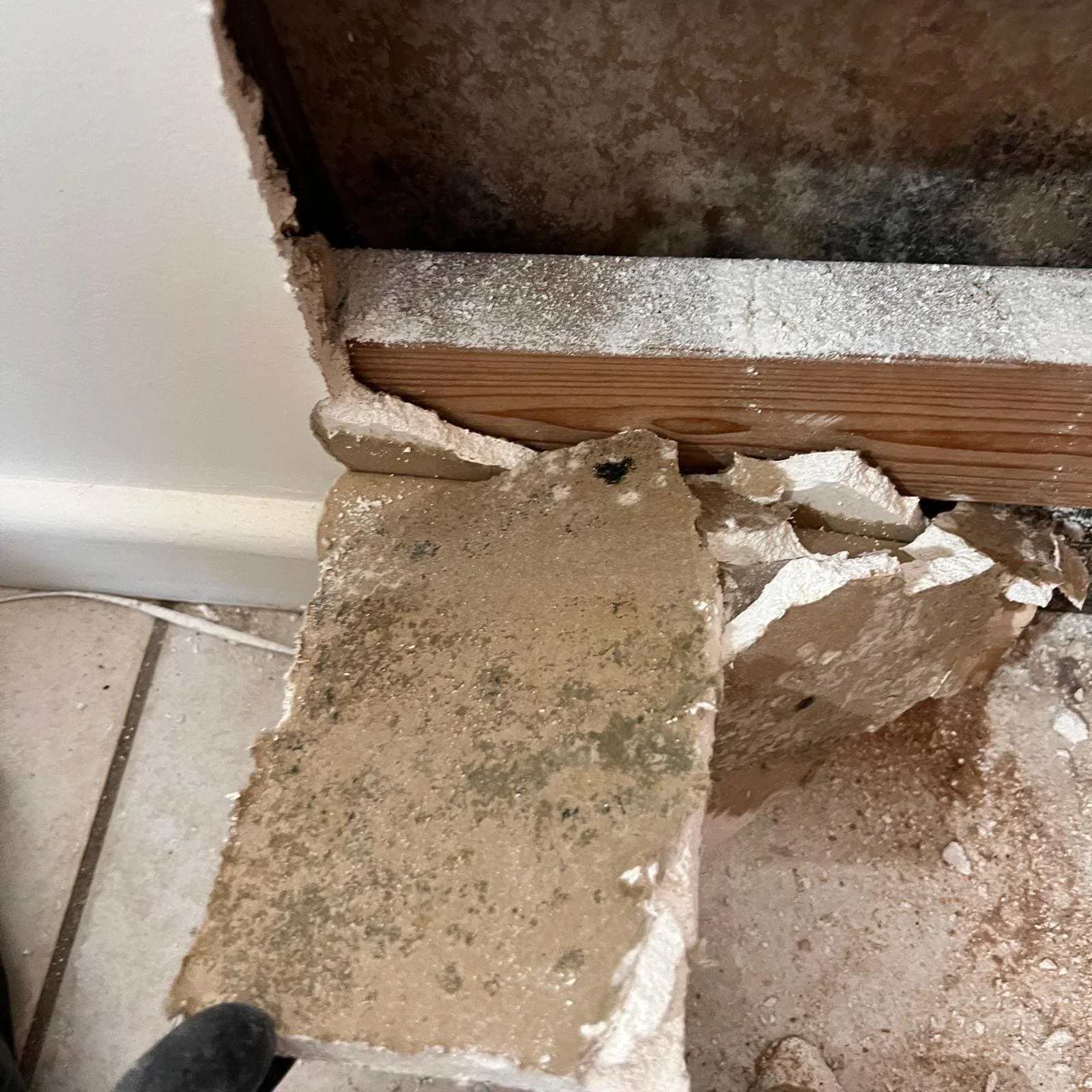 Close-up of damaged plasterboard removed during mould remediation, showing hidden mould growth behind the wall and contamination on the broken plasterboard surface.