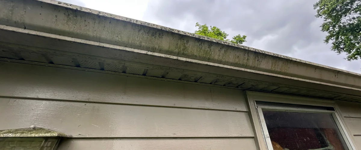 Dirty gutters with mold buildup on residential home