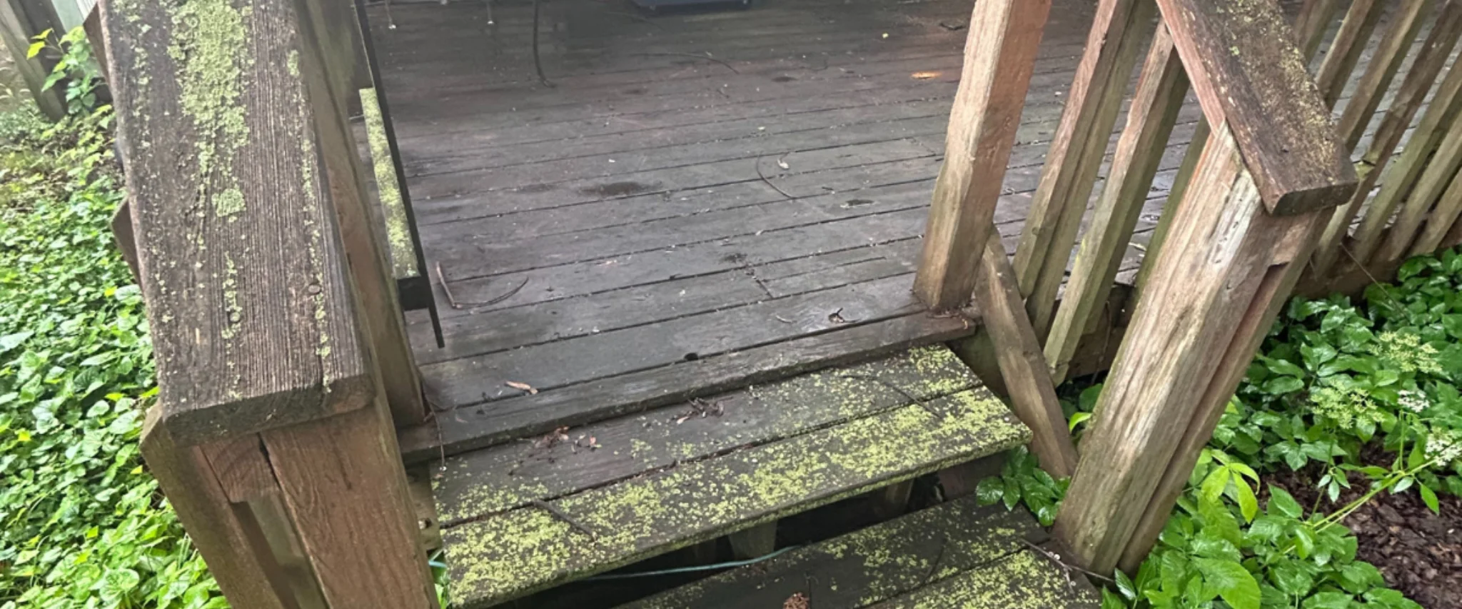 Rotted and moss-covered wooden deck steps showing decay