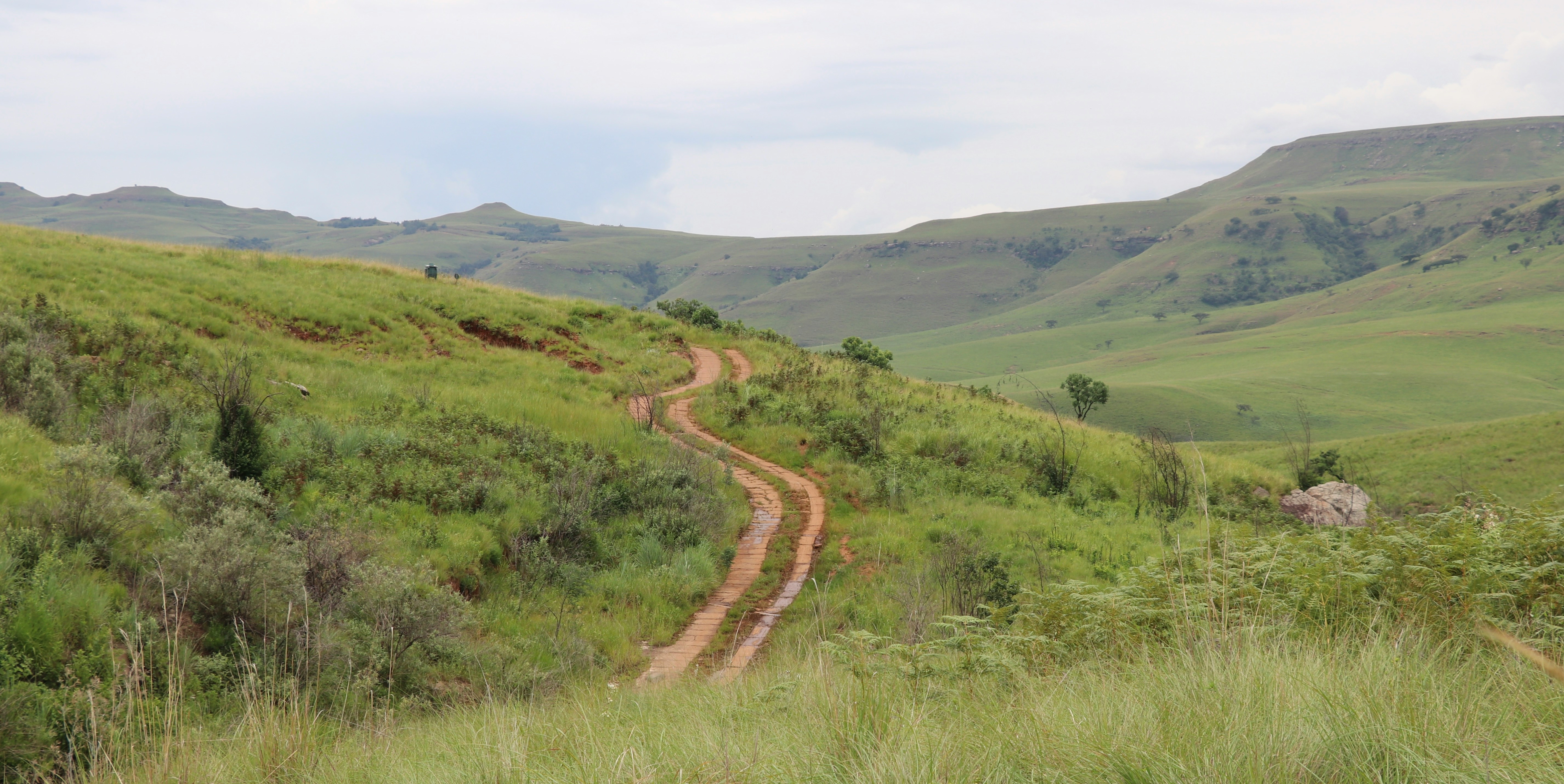 Rural Road