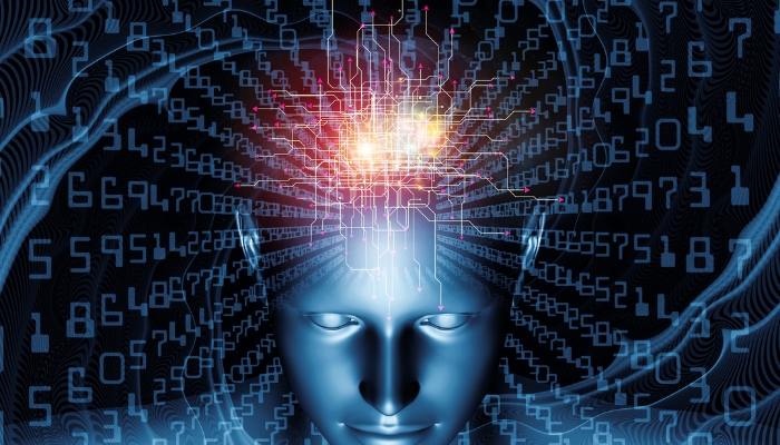 Beyond Websites: Comprehensive Digital Ecosystems Beyond Websites: Comprehensive Digital Ecosystems