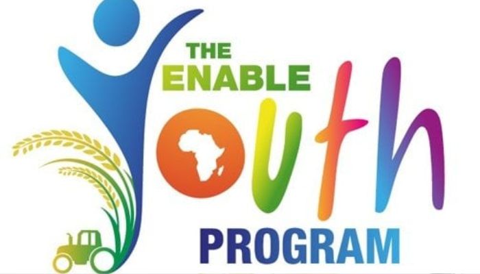 African Development Bank (AfDB) – Enable Youth Programme