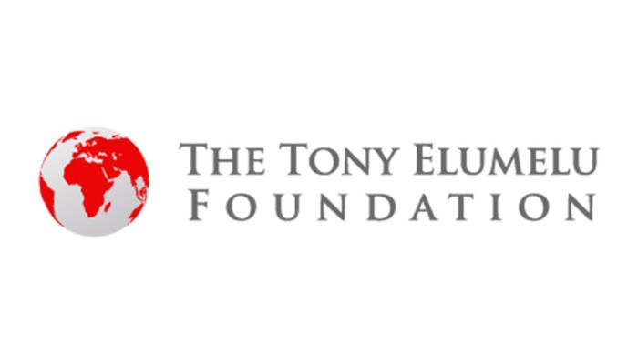 Tony Elumelu Foundation (TEF)