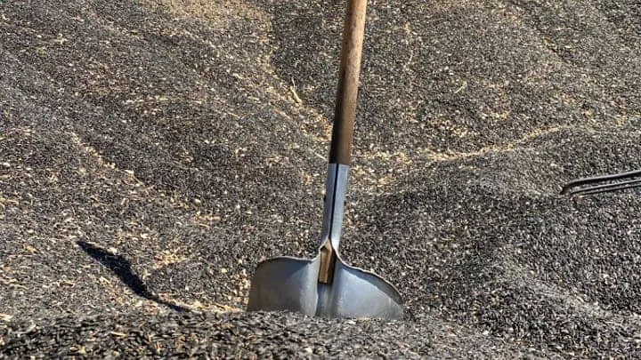 You need a bigger shovel! You need a bigger shovel!
