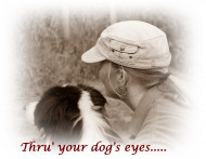 Thru Your Dogs Eyes