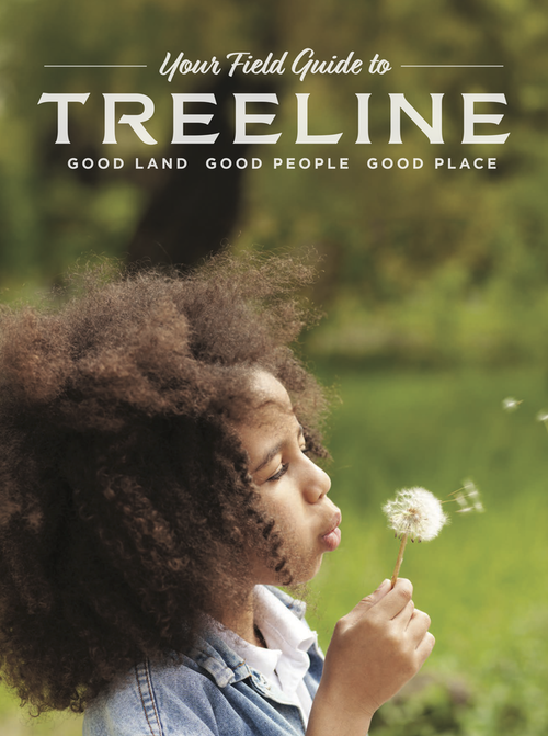 Treeline Field Guide