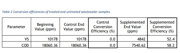 Conversion efficiencies of treated and untreated wastewater samples.