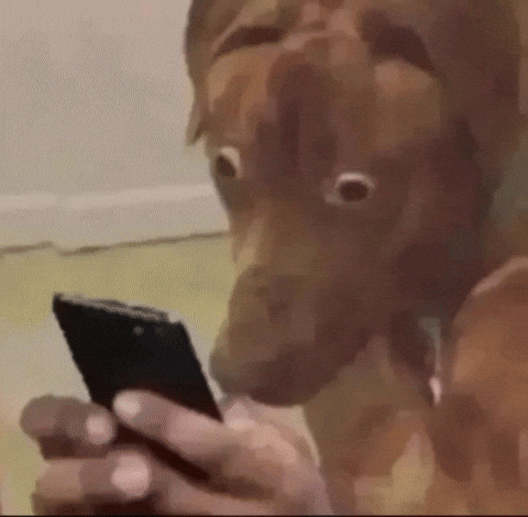 Looking at the Phone Looking at the Phone