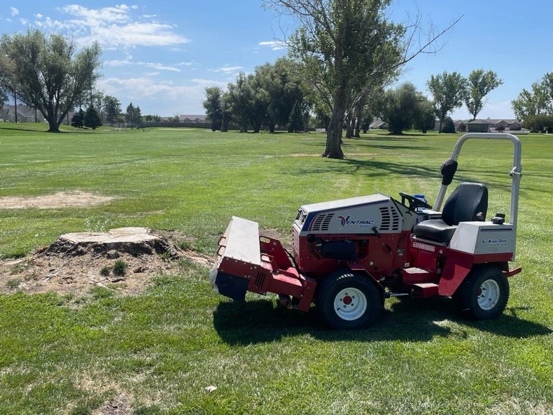 Stump Grinding in Utah Stump Grinding in Utah