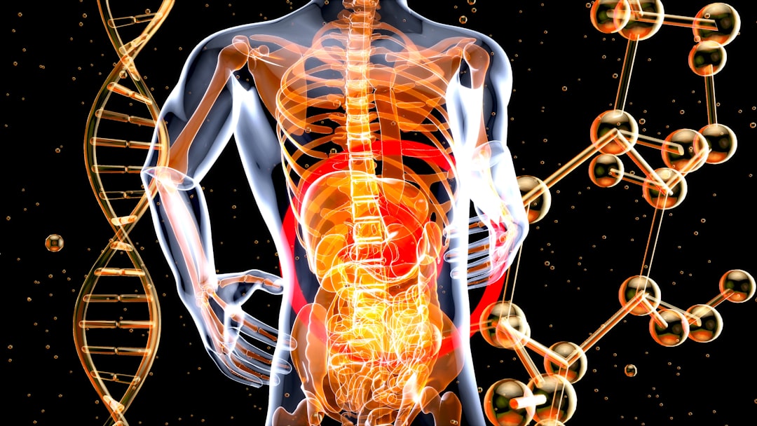 photo-gut-health-digestion