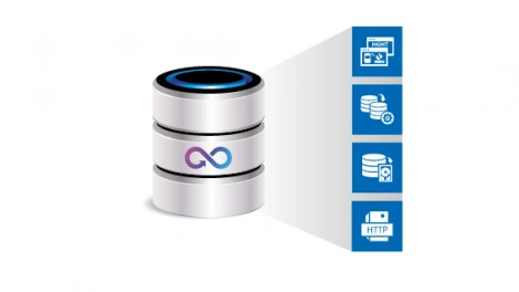 Minimize Constant Data Format Transformations with MarkLogic NoSQL Database Platform