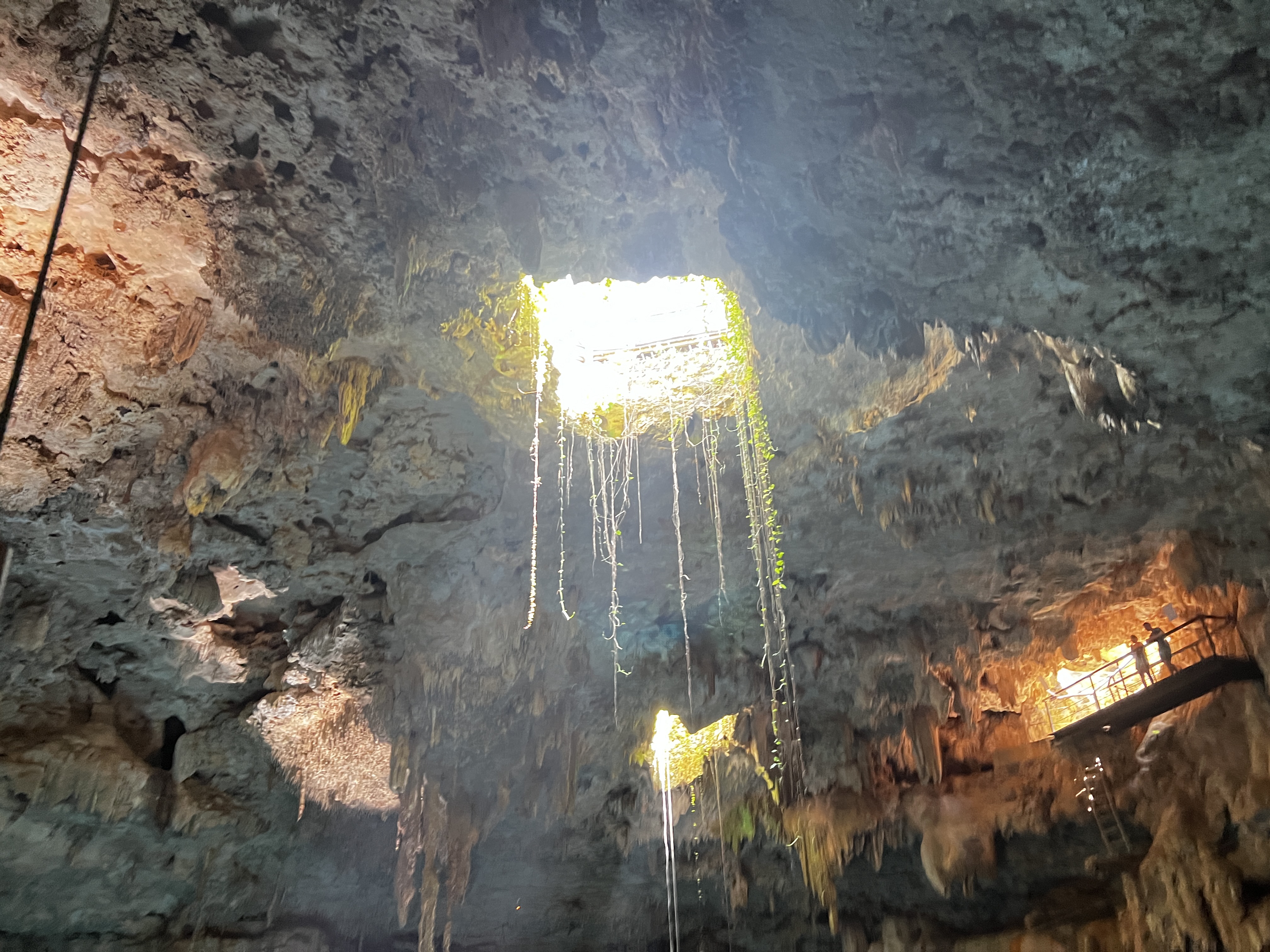 Cenote opening Cenote opening