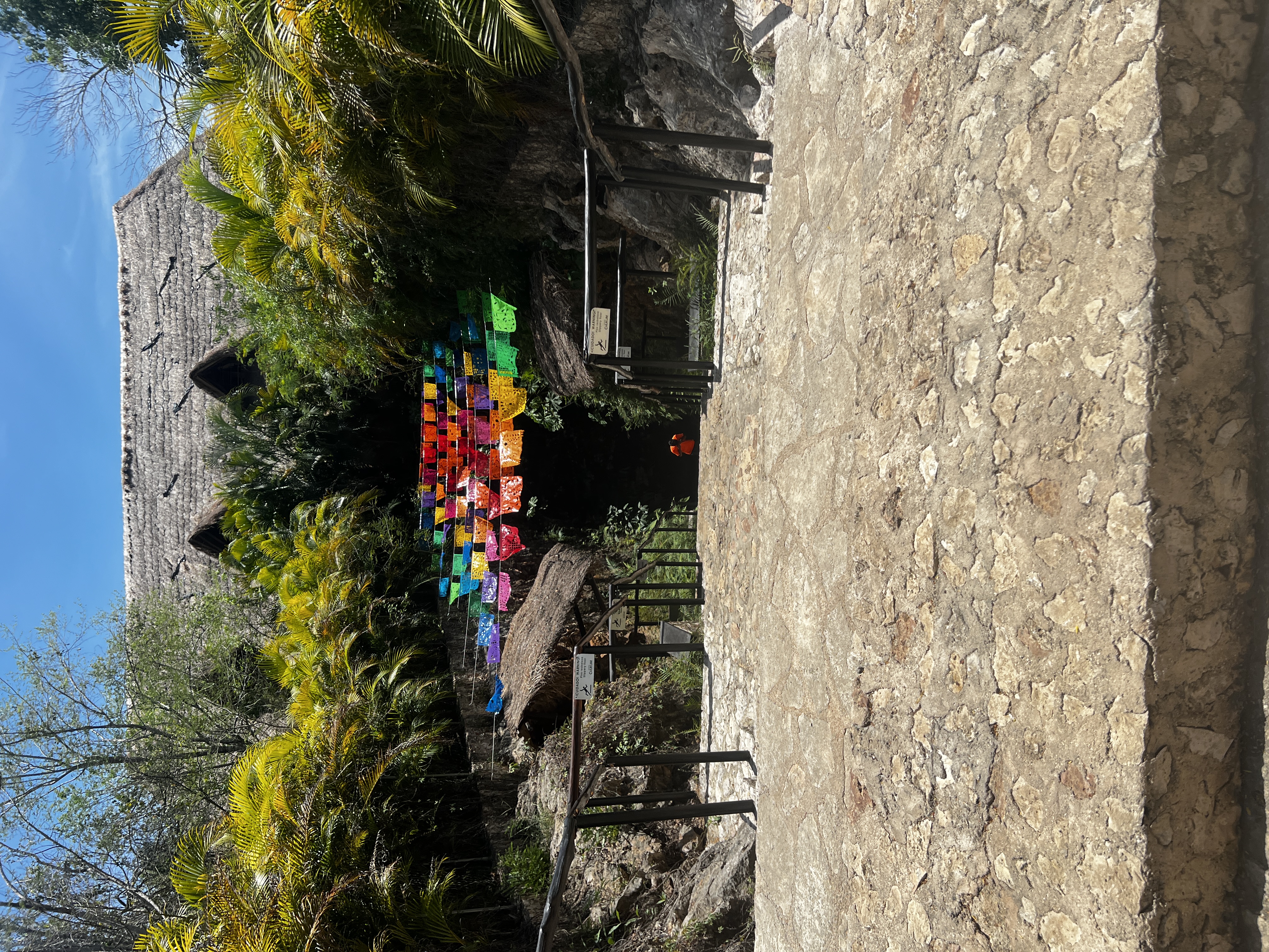 Cenote in Yucatan peninsula Cenote in Yucatan peninsula