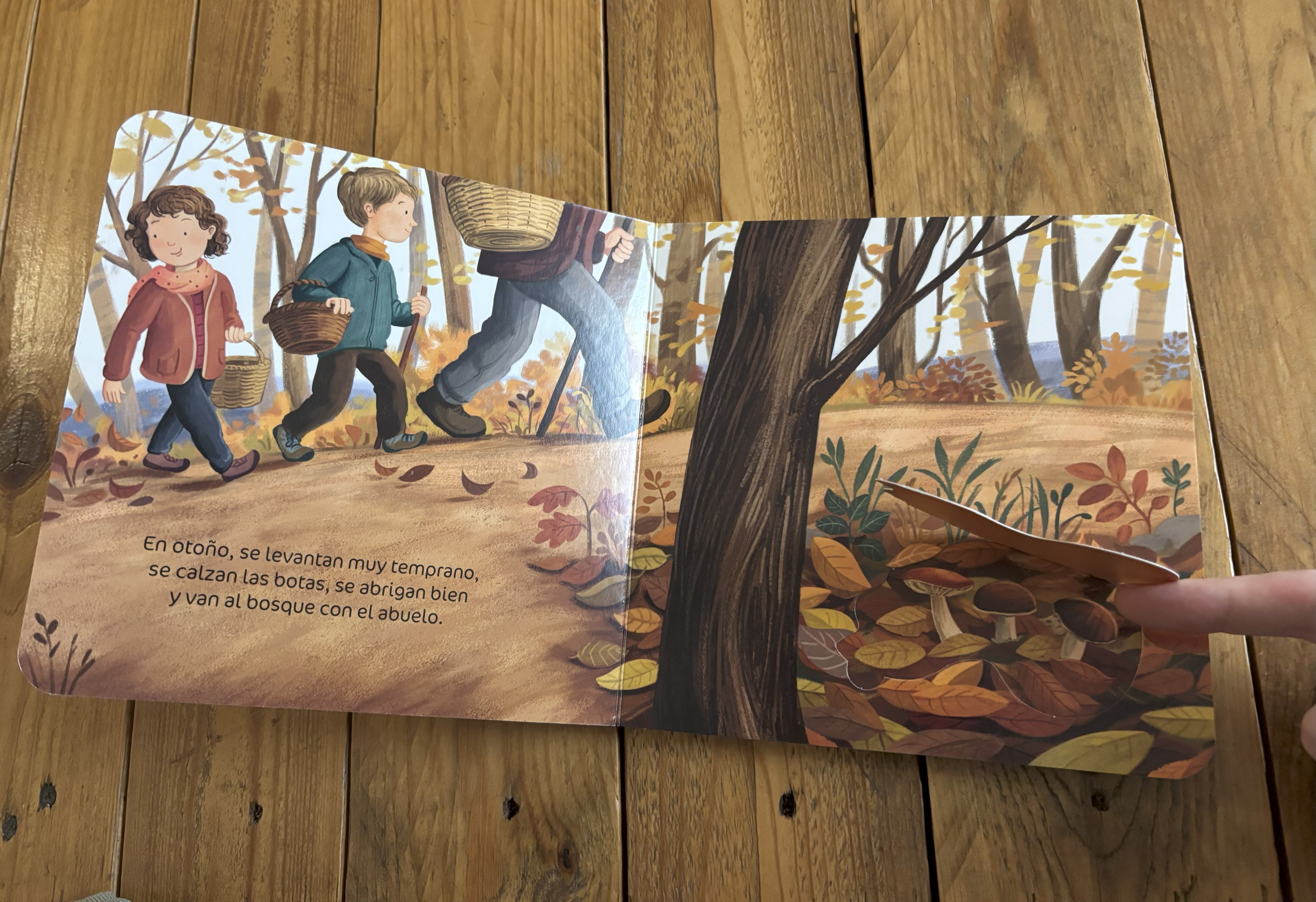 Mi primer libro de setas