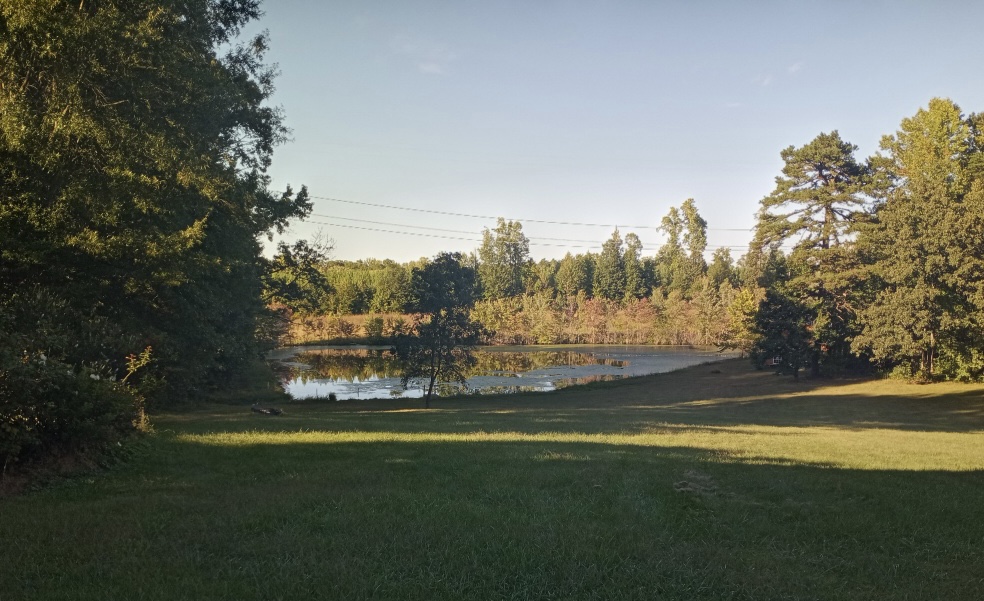 Fairview Meadows Weddings