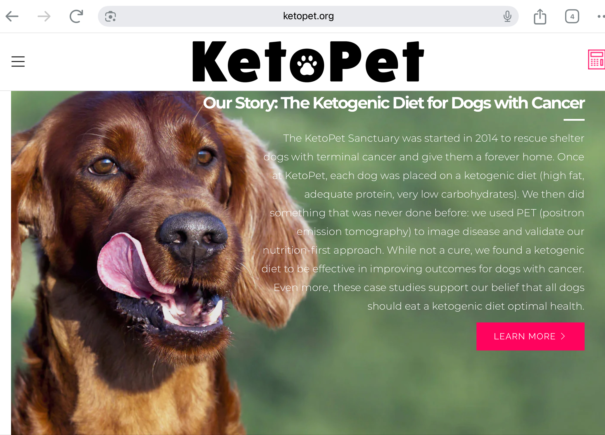 Keto pet sanctuary logo and screenshot Keto pet sanctuary logo and screenshot