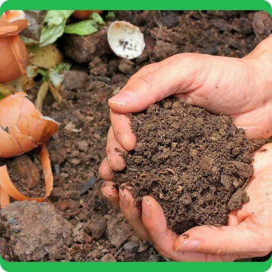 Compost Extract