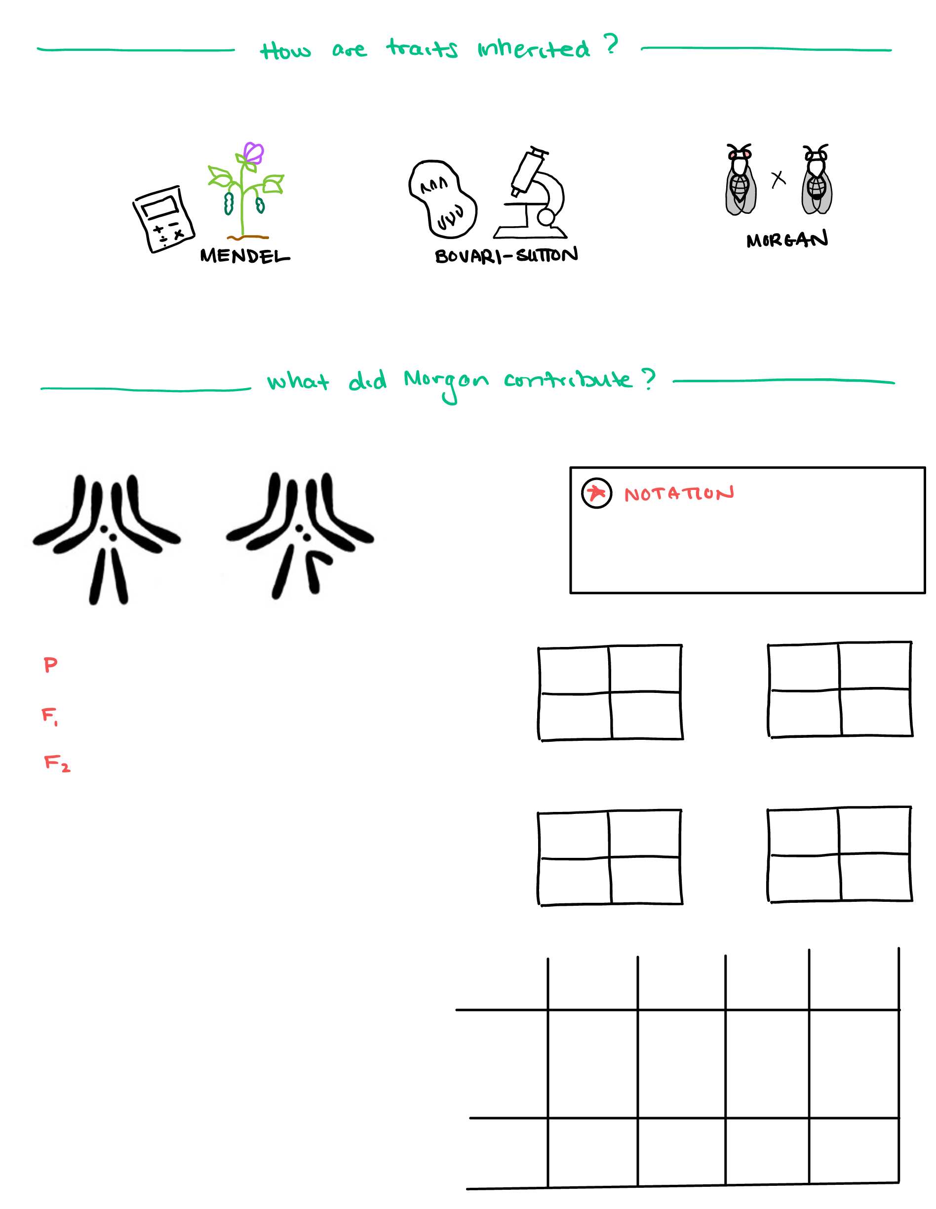 Notes template for Topic 5.4. Notes template for Topic 5.4.