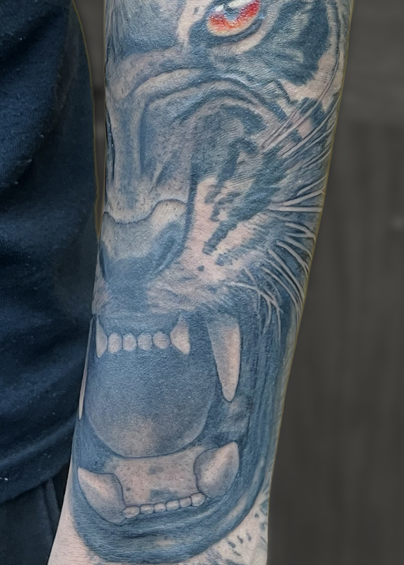 Tiger tattoo 