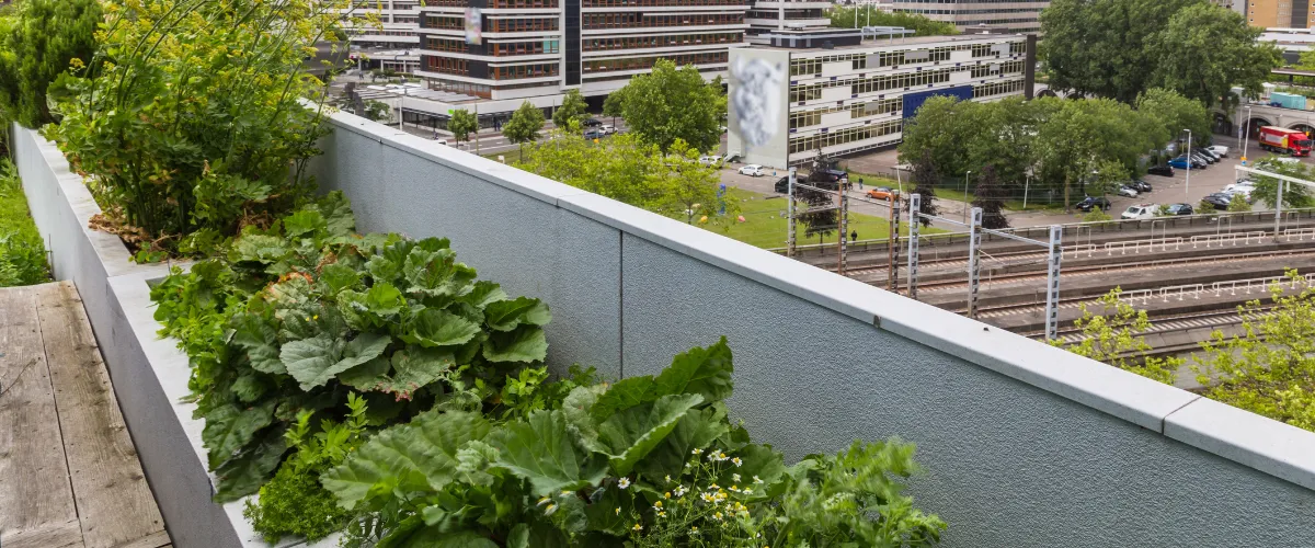Installing a green roof on a slanted residential rooftop Installing a green roof on a slanted residential rooftop