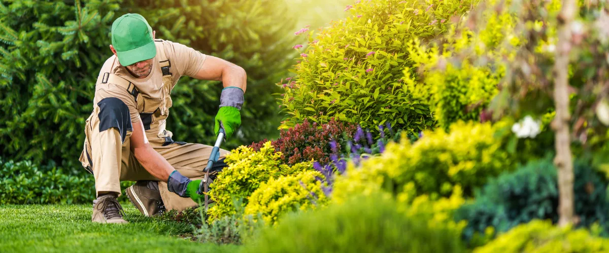 Landscaper performing residential maintenance in a colorful garden