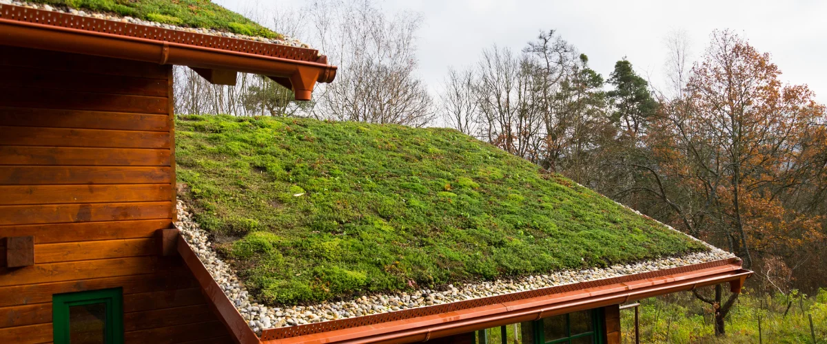 Eco-friendly green roof on a wooden house surrounded by trees