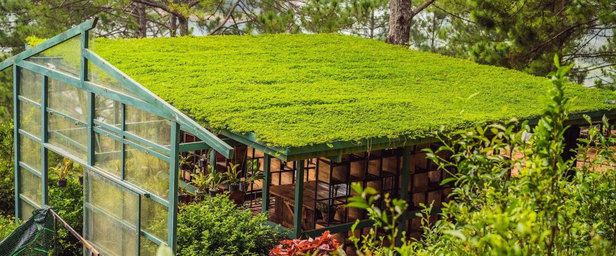 Lush green roof on a glass and metal structure in a forest setting