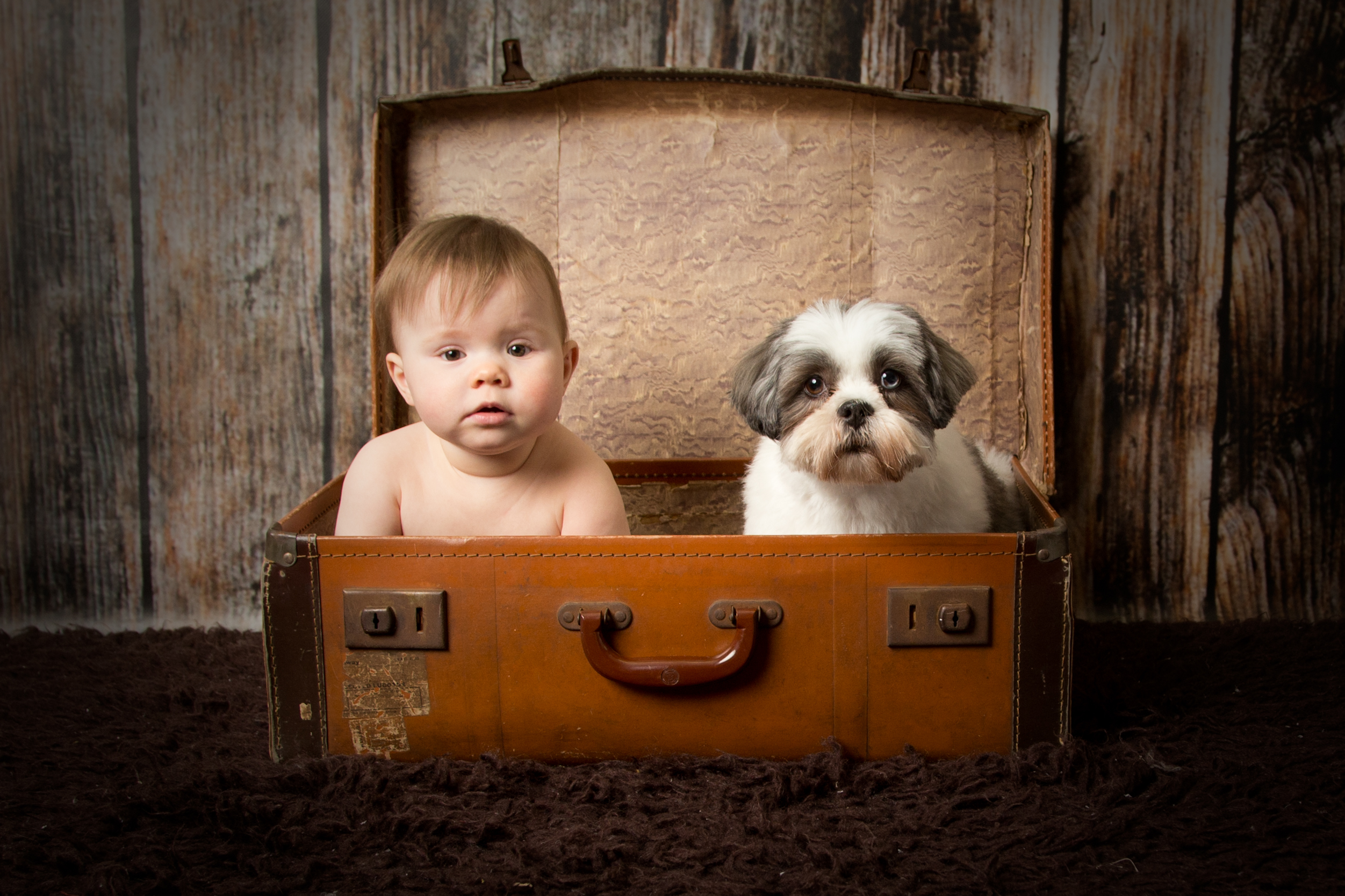 Why We Always Say “Yes” to Pets in Your Milestone Sessions